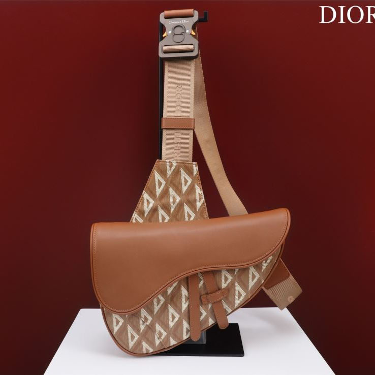 Christian Dior Saddle Bags - Click Image to Close